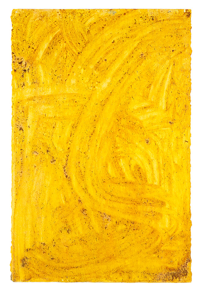 curcuma papel 20.jpg